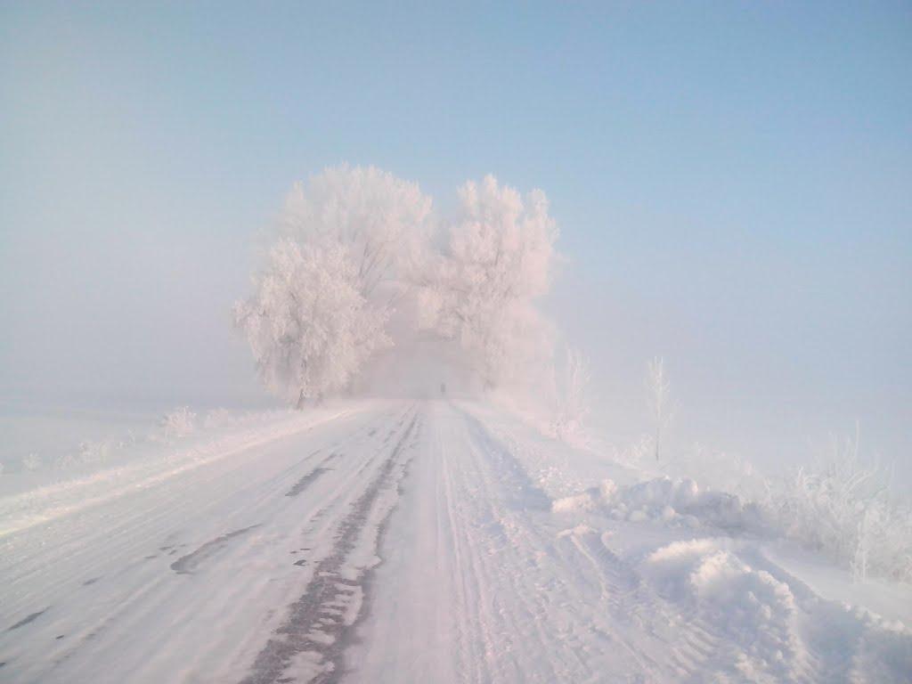 Химрич з panoramio.com - Химрич