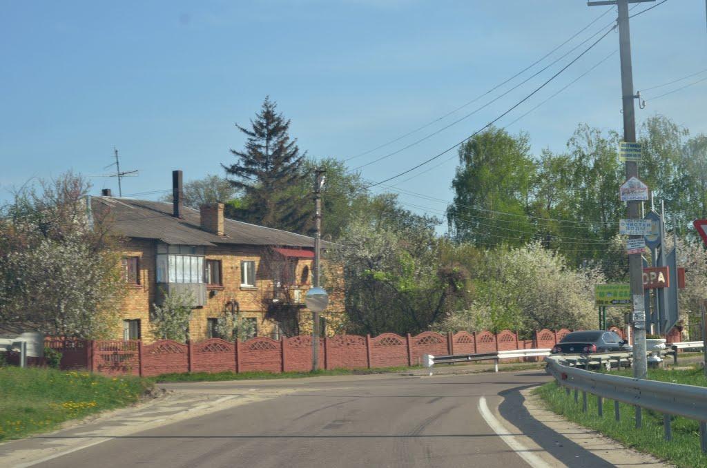 Гора з panoramio.com - Гора