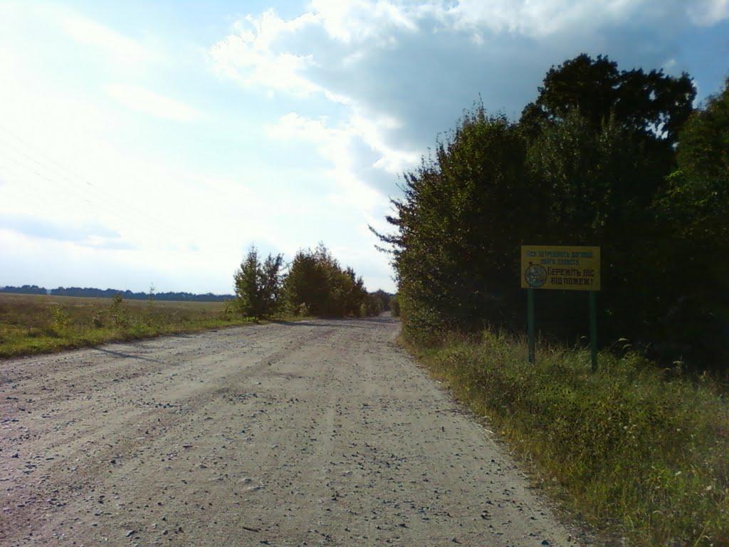 Дорожне з panoramio.com - Дорожне