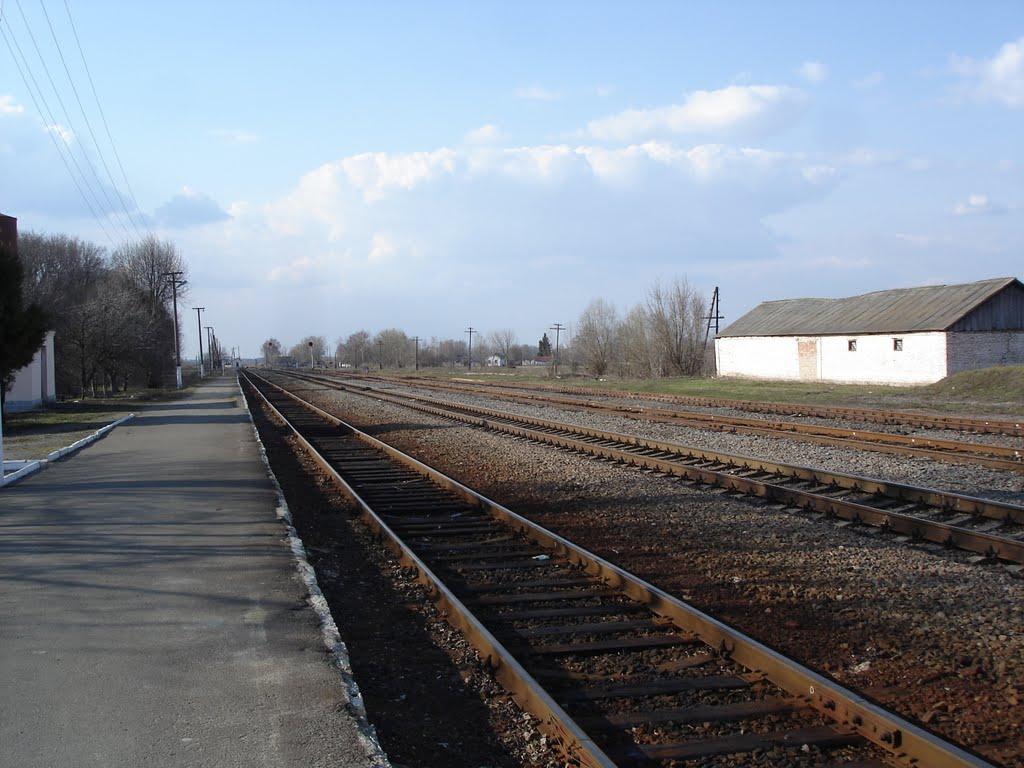 Веселе з panoramio.com - Веселое