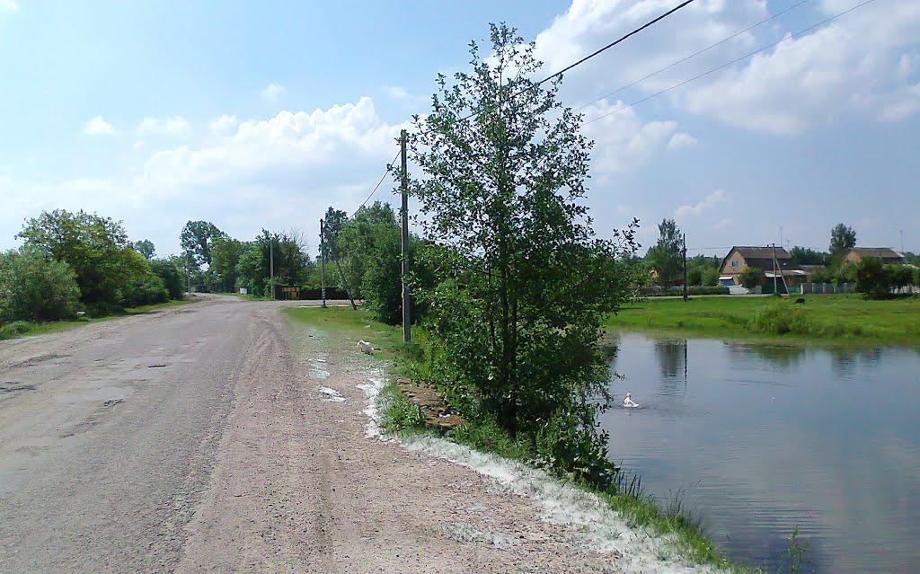Швайківка з panoramio.com - Shvaykivka