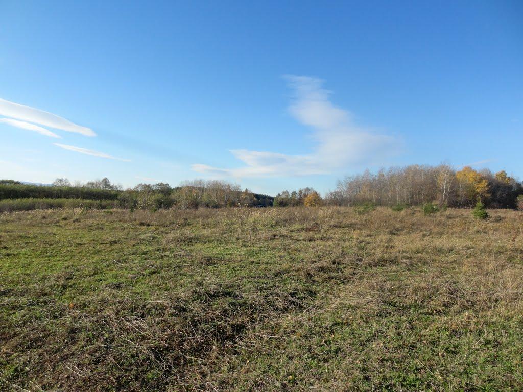 Корчівці з panoramio.com - Корчівці