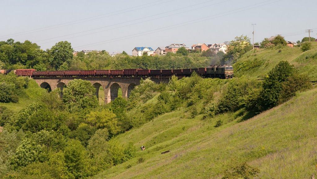 Теребовля з panoramio.com - Теребовля