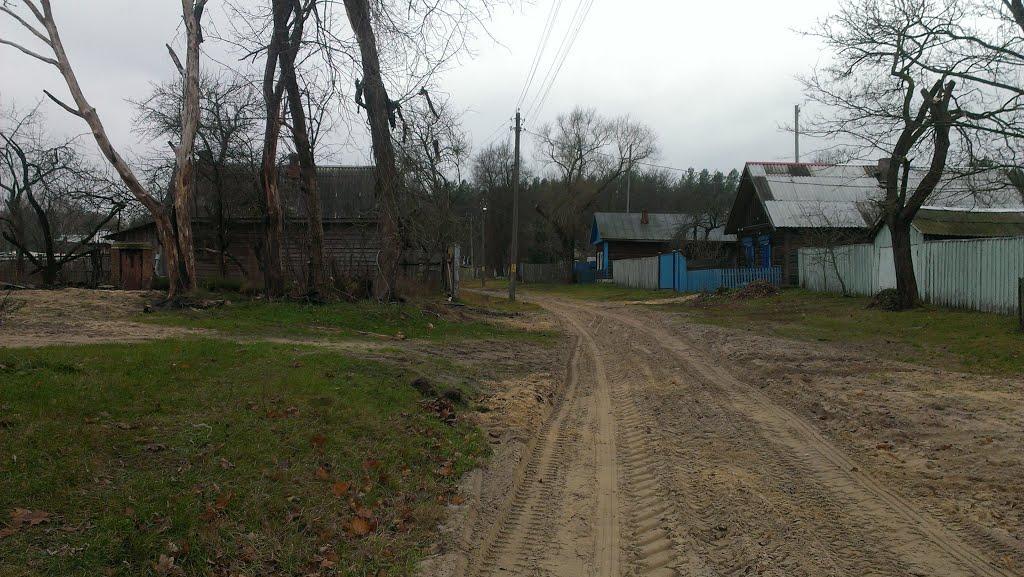 Сиделівка з panoramio.com - Сиделівка