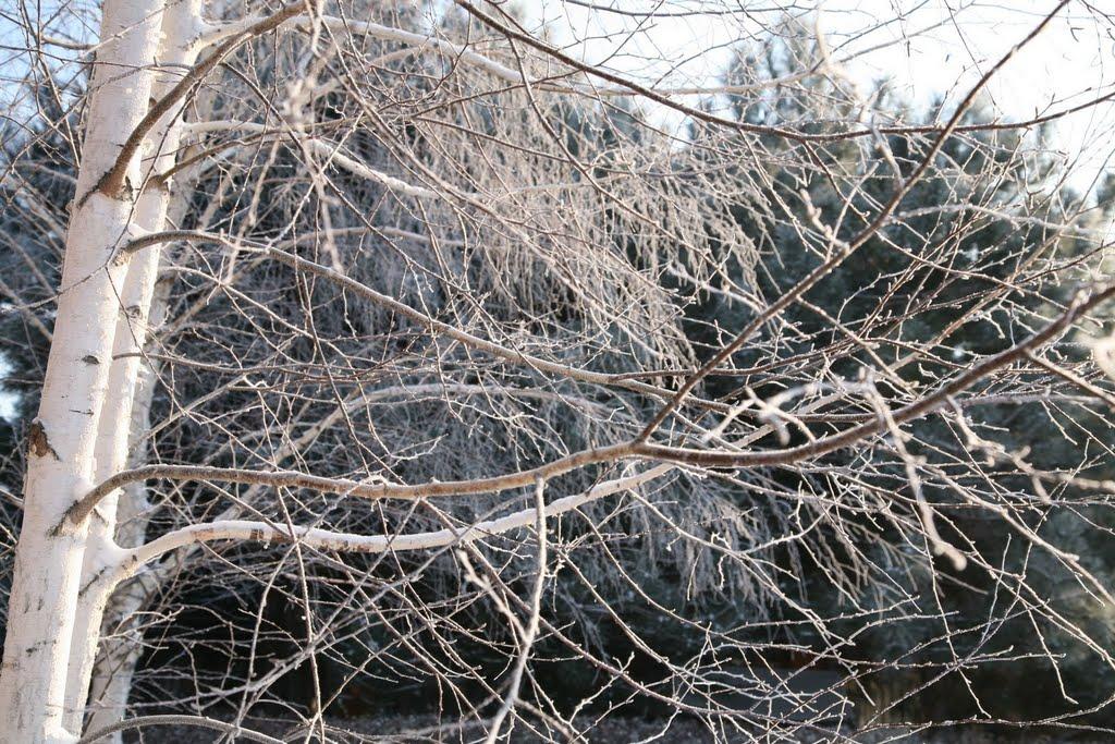 Бурлача Балка з panoramio.com - Бурлача Балка