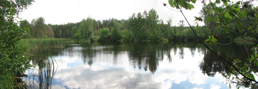 Стригани з panoramio.com - Стриганы