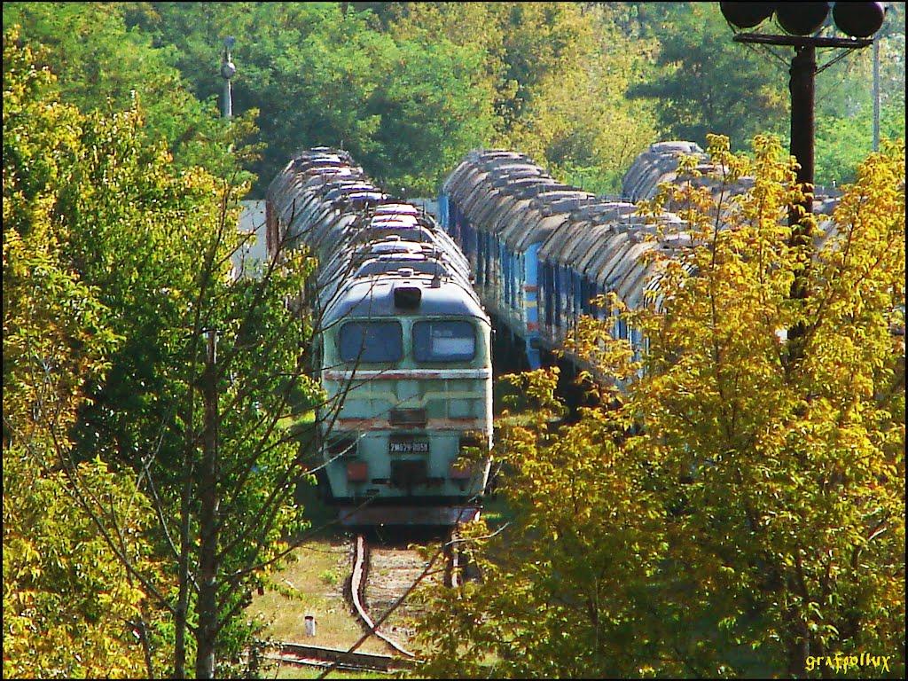 Щорс з panoramio.com - Щорс