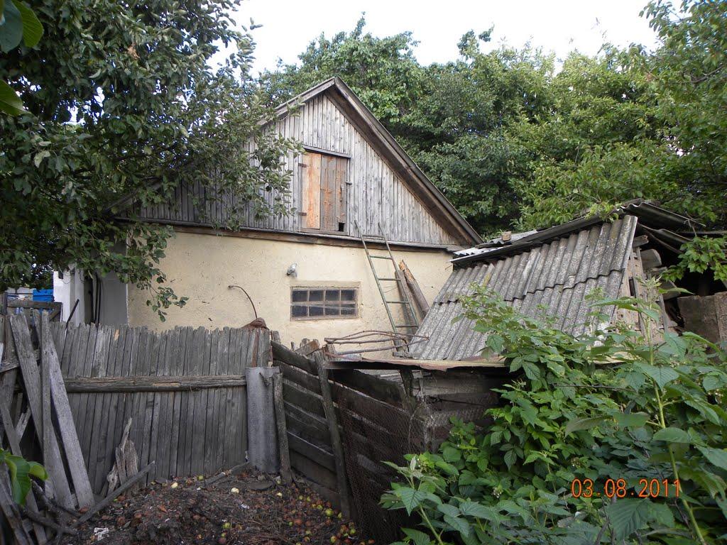 Скрипалі з panoramio.com - Скрипалі