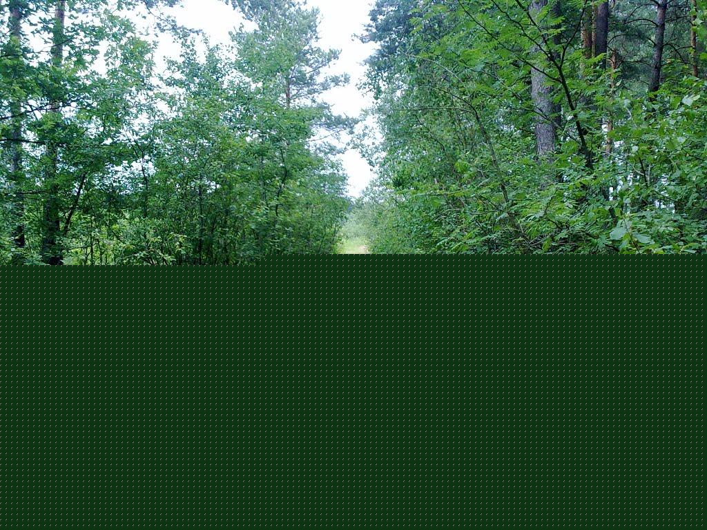Мигія з panoramio.com - Mygiya