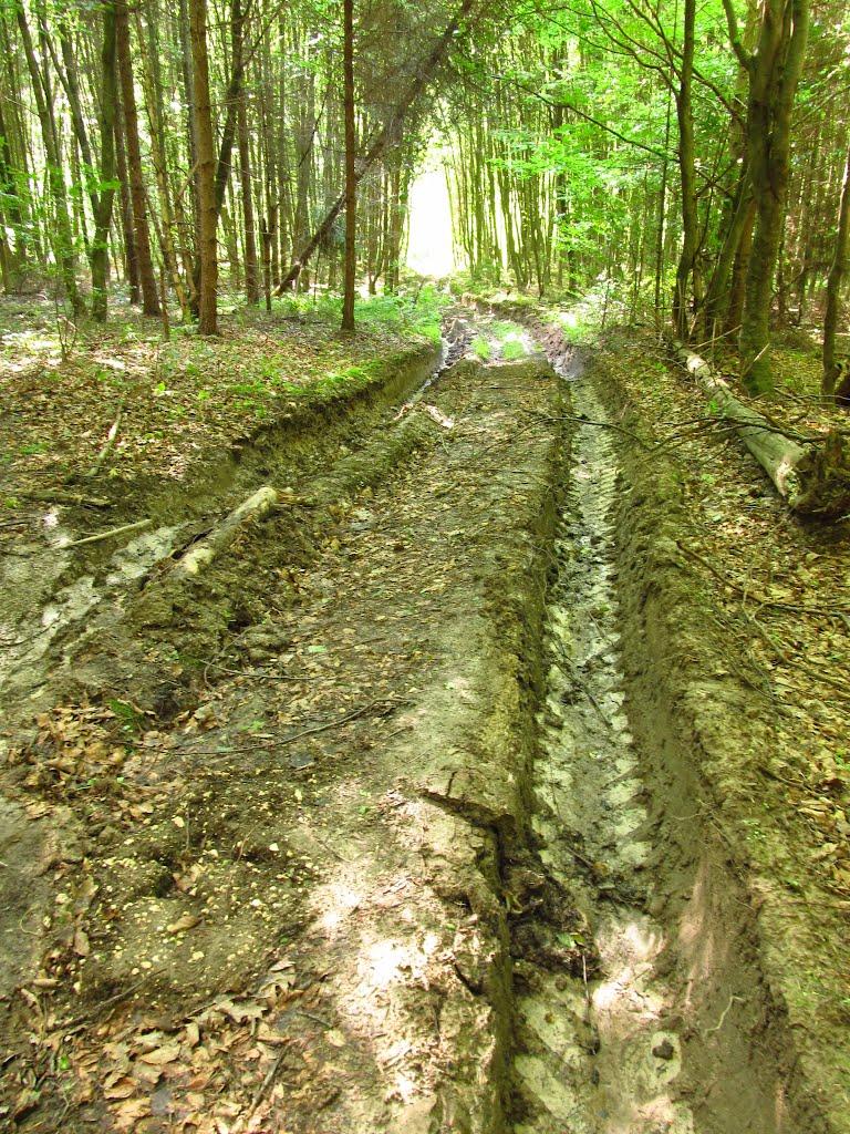 Маркова з panoramio.com - Маркова