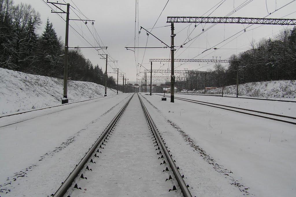 Басівка з panoramio.com - Басівка