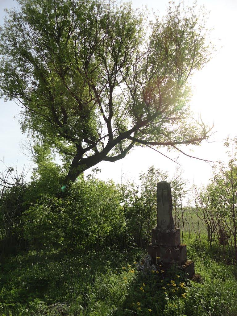Буяни з panoramio.com - Буяни