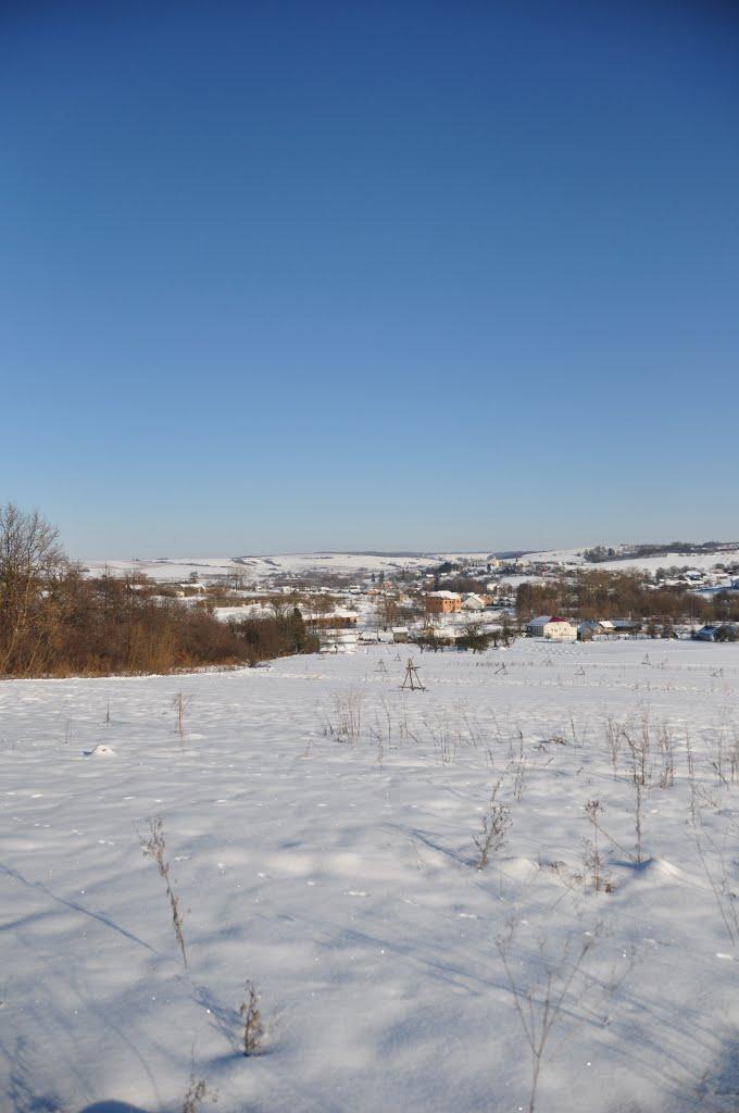 Глібовичі з panoramio.com - Глебовичи