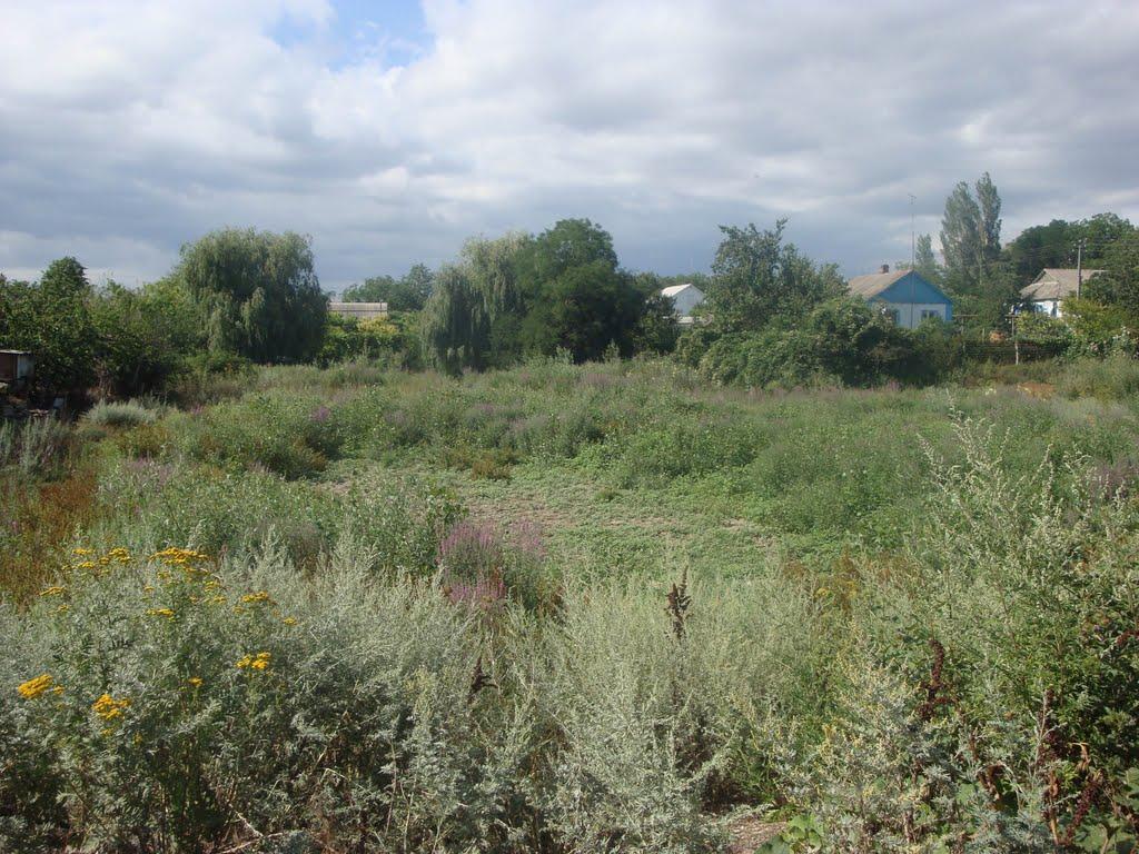 Каштани з panoramio.com - Каштани