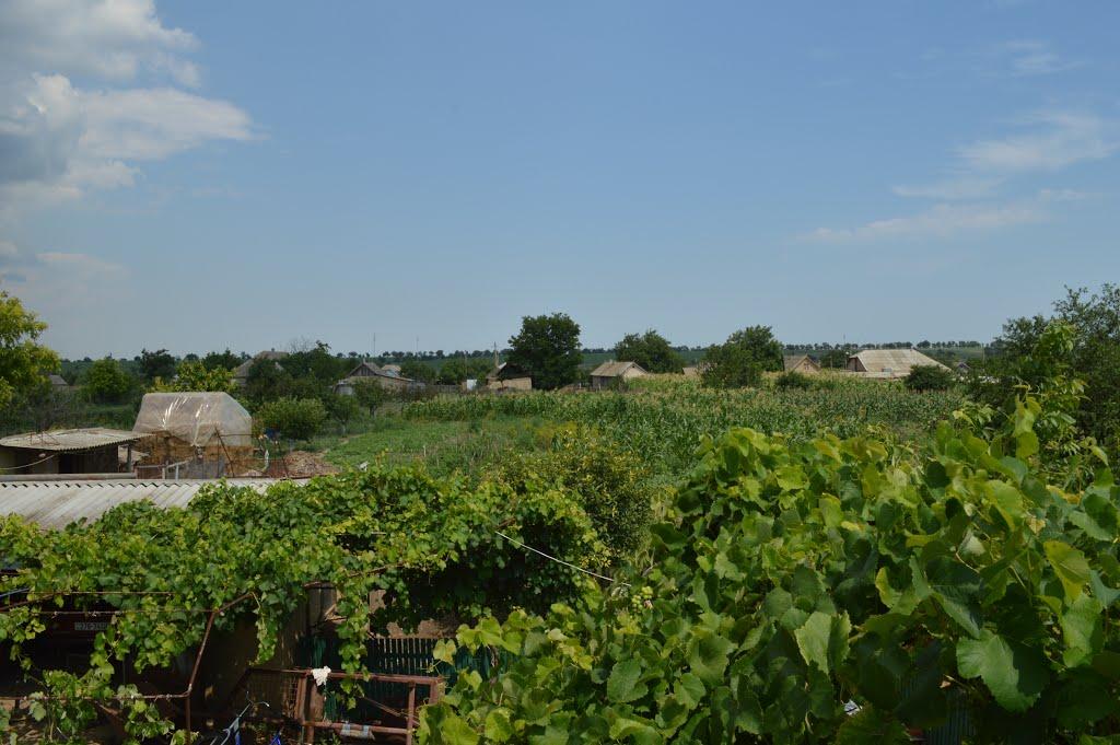 Першотравневе з panoramio.com - Першетравневое