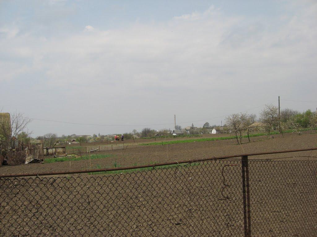 Погребище з panoramio.com - Погребище