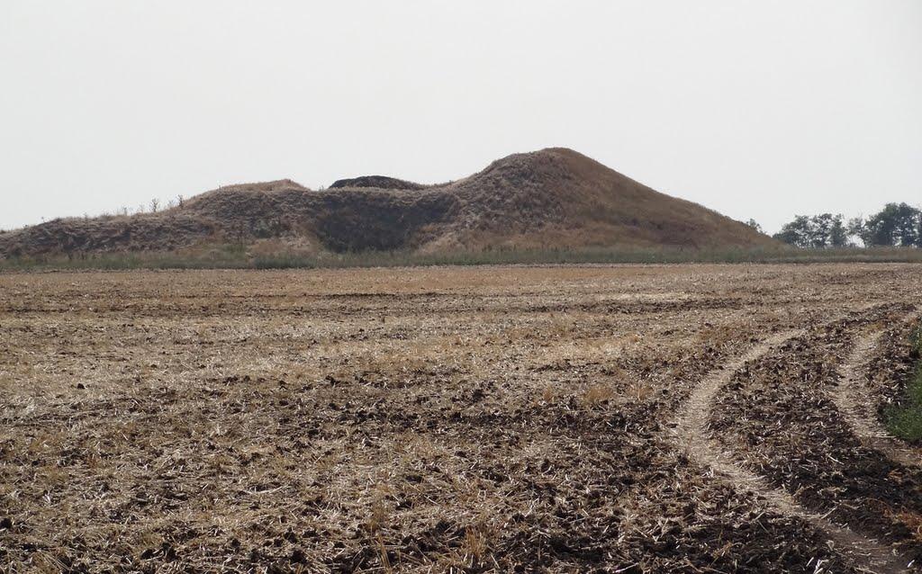 Верхній Рогачик з panoramio.com - Верхній Рогачик