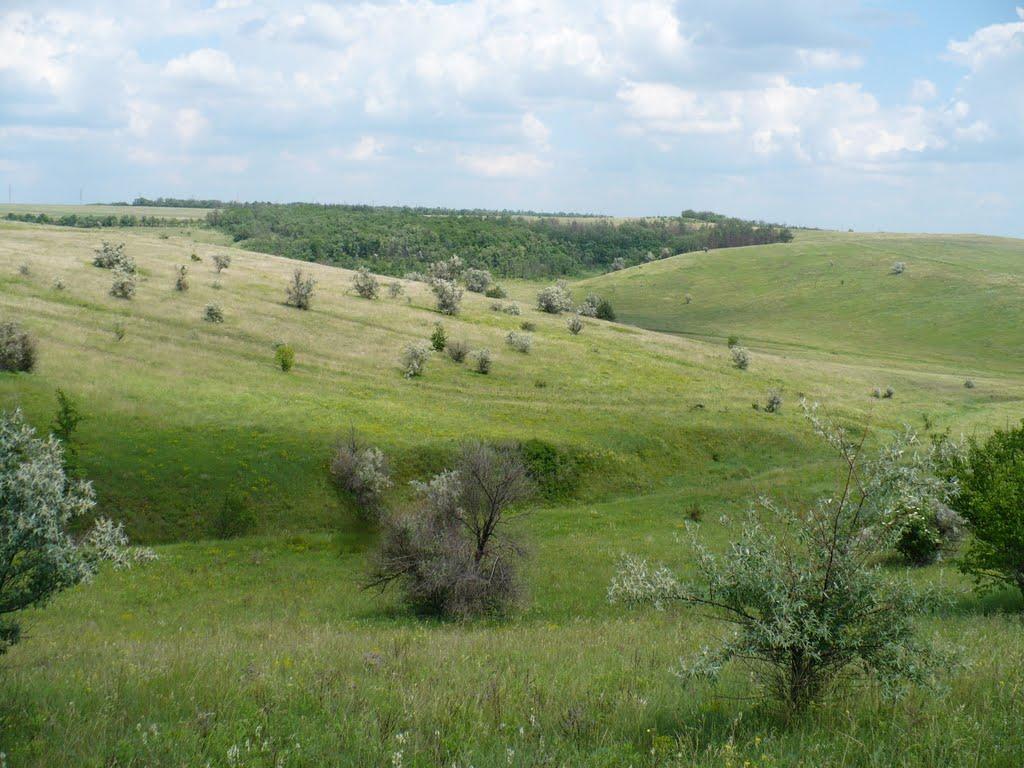 Гусарівка з panoramio.com - Гусарівка