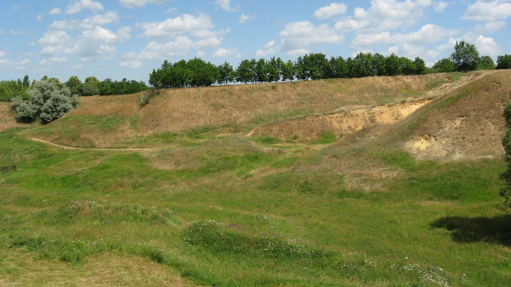 Вільшани з panoramio.com - Ольшаны