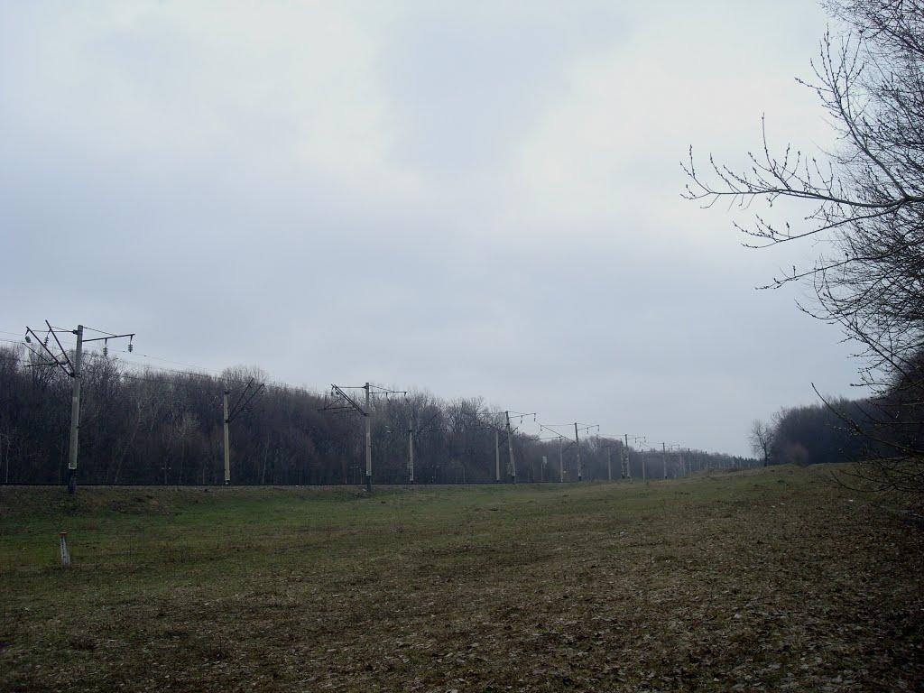 Сербинівці з panoramio.com - Сербинівці