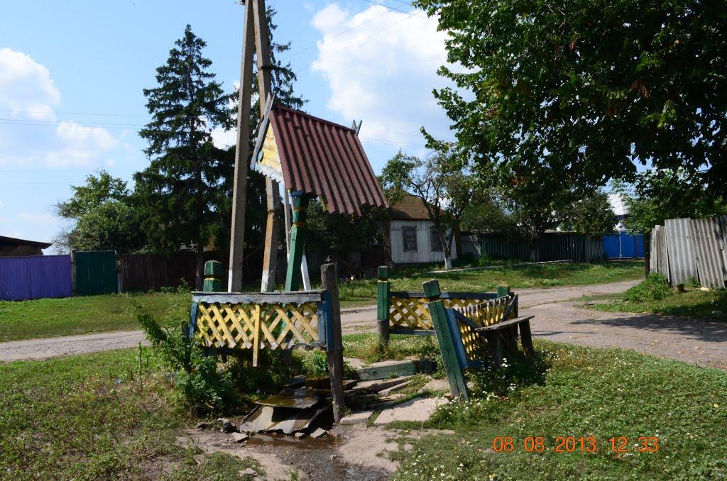 Нова Слобода з panoramio.com - Новая Слобода