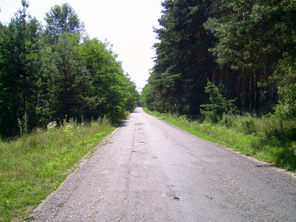 Бірки з panoramio.com - Борки