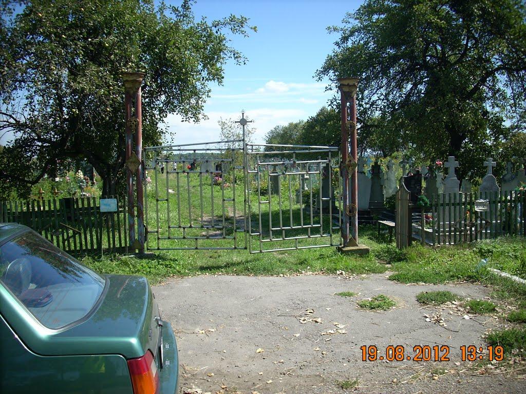 Негівці з panoramio.com - Негівці