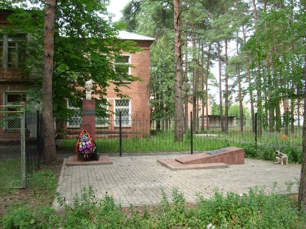 Плетенівка з panoramio.com - Pletenivka