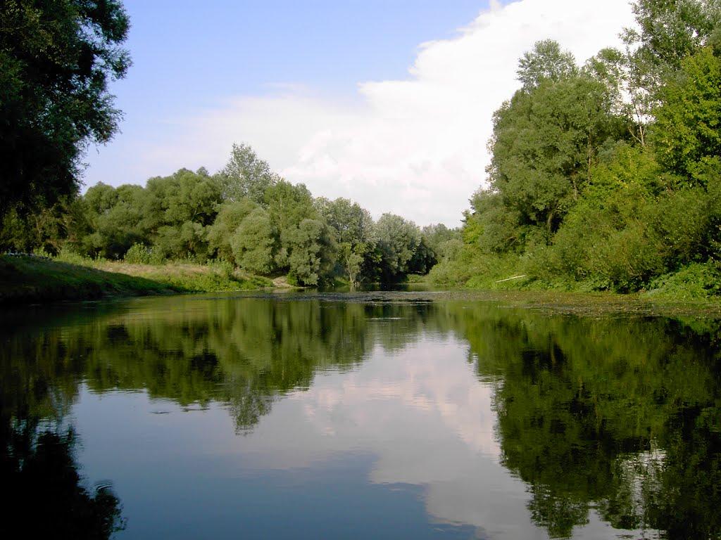 Савинці з panoramio.com - Савинці