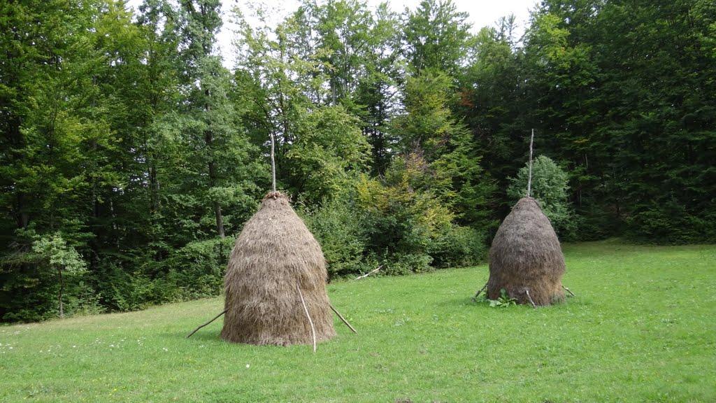 Великий Бичків з panoramio.com - Великий Бичків