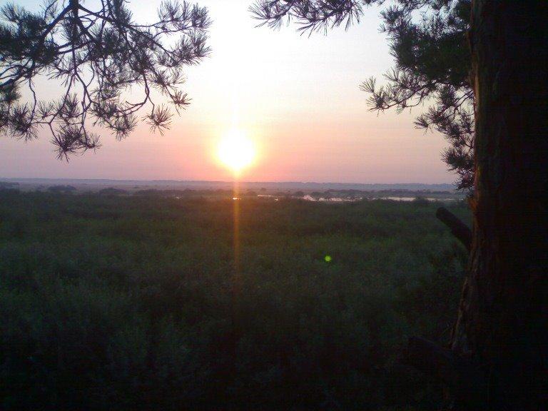 Порубка з panoramio.com - Порубка