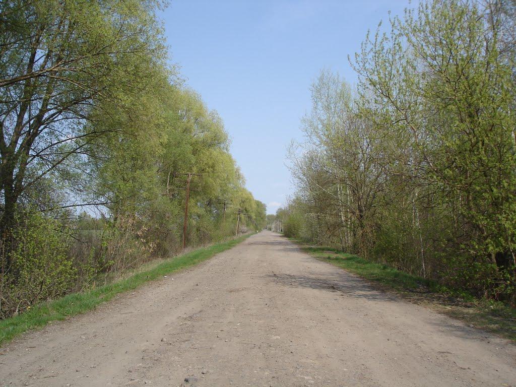 Червона Зірка з panoramio.com - Червона Зірка