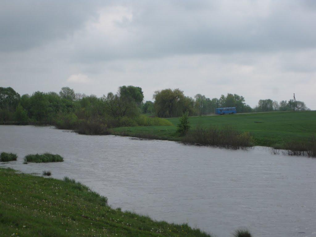 Черепашинці з panoramio.com - Cherepashyntsi