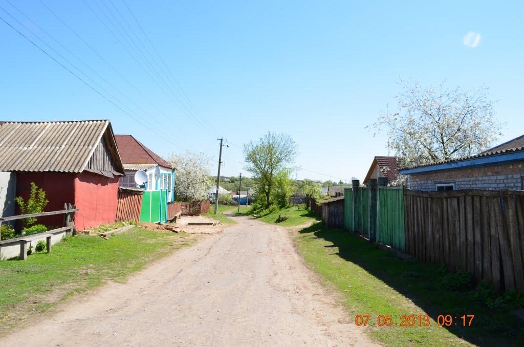 Нова Слобода з panoramio.com - Новая Слобода