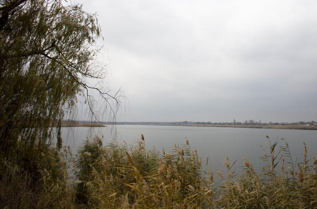 Новожитомир з panoramio.com - Новожитомир