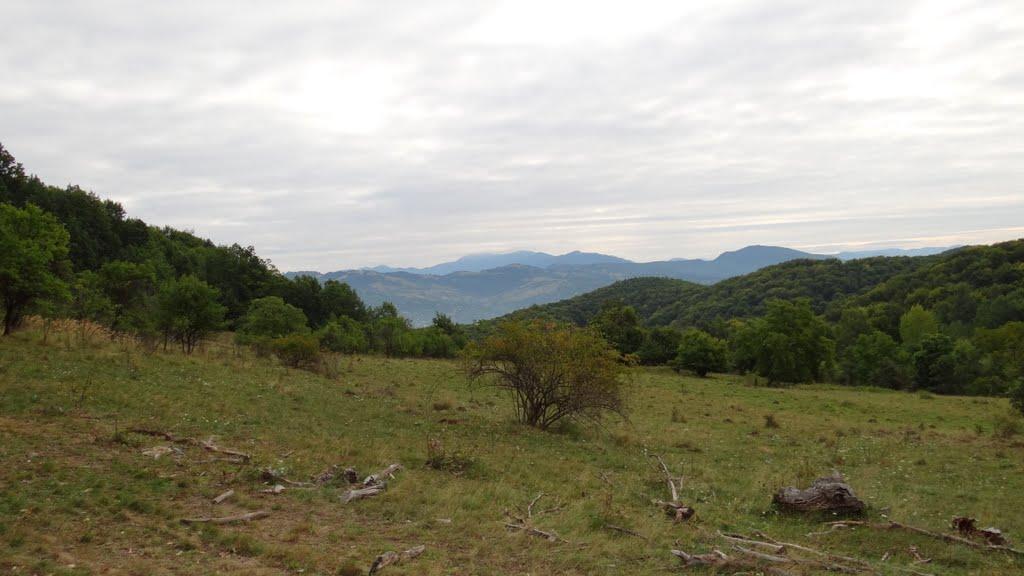 Біла Церква з panoramio.com - Біла Церква