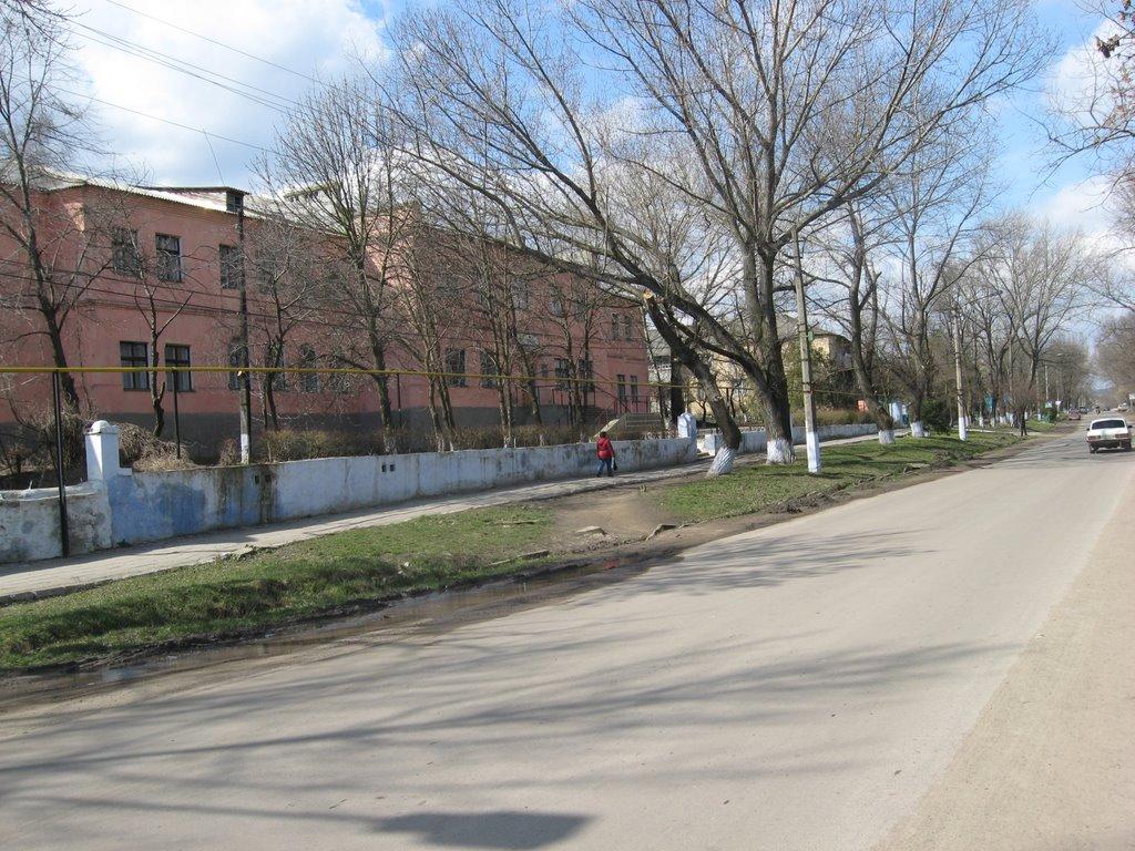 Тарутине з panoramio.com - Тарутино