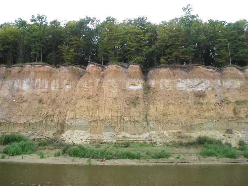 Суслівка з panoramio.com - Суслівка