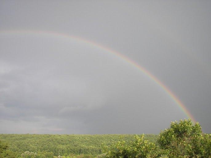 Мерефа з panoramio.com - Мерефа