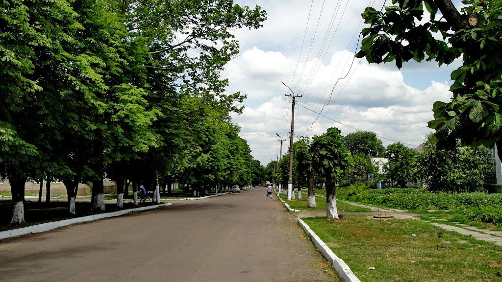Нововоронцовка з panoramio.com - Нововоронцовка