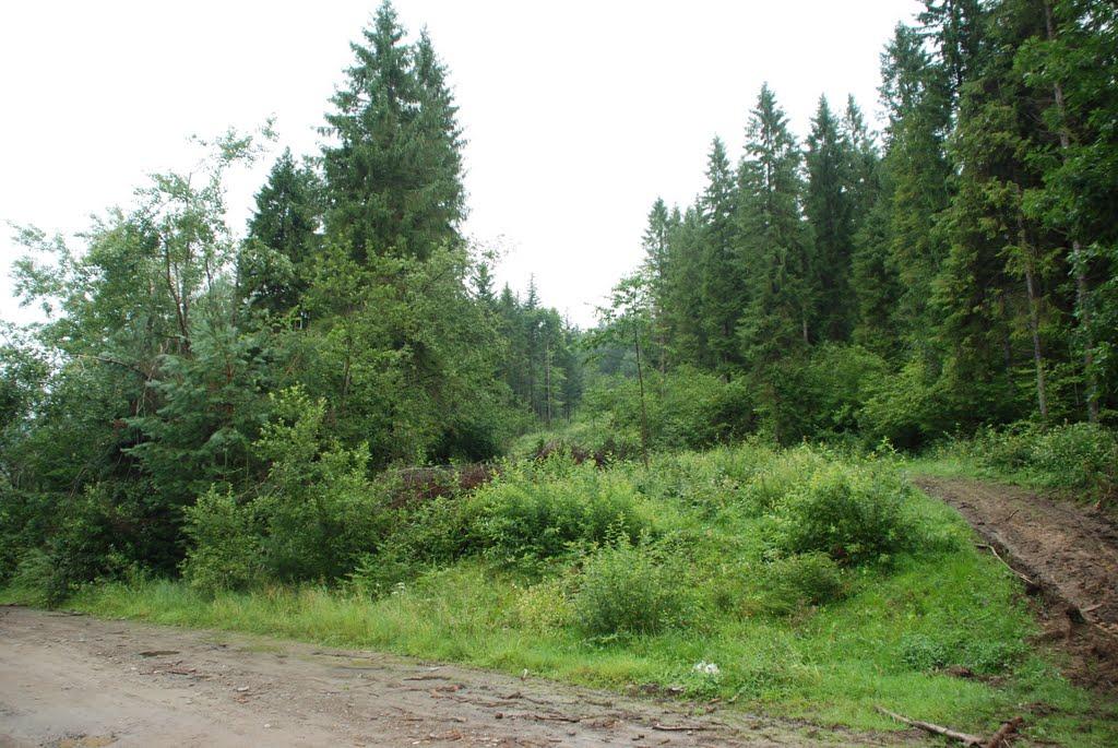 Підсухе з panoramio.com - Підсухе