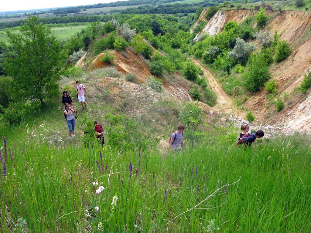 Богданівка з panoramio.com - Богданівка