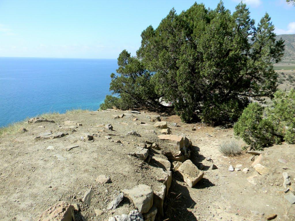 Долина з panoramio.com - Долина