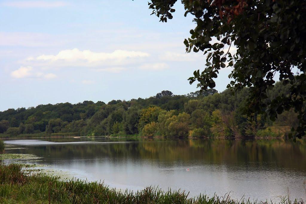 Перепеличчя з panoramio.com - Перепеличчя