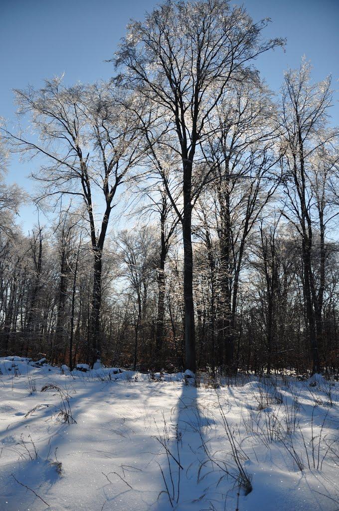 Глібовичі з panoramio.com - Глібовичі