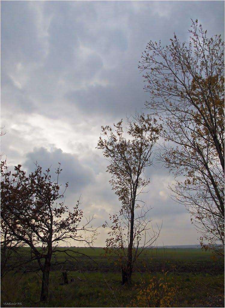 Недайвода з panoramio.com - Недайвода