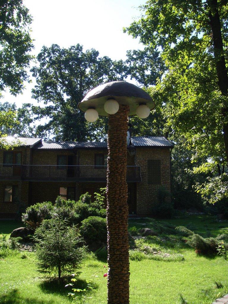 Бикова Гребля з panoramio.com - Быковая Гребля