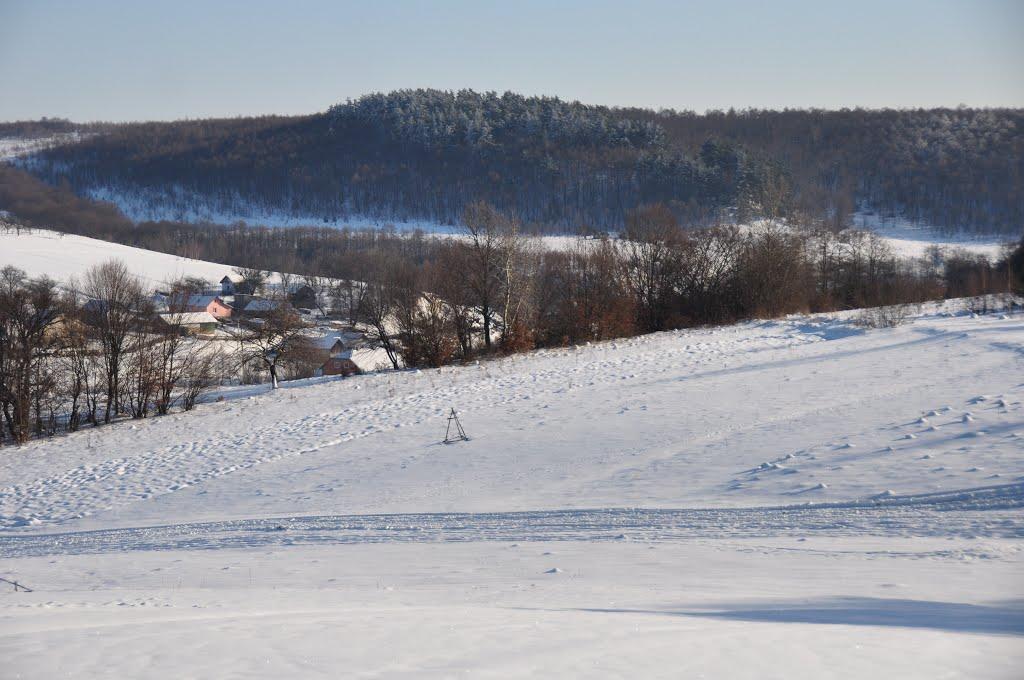 Глібовичі з panoramio.com - Глебовичи