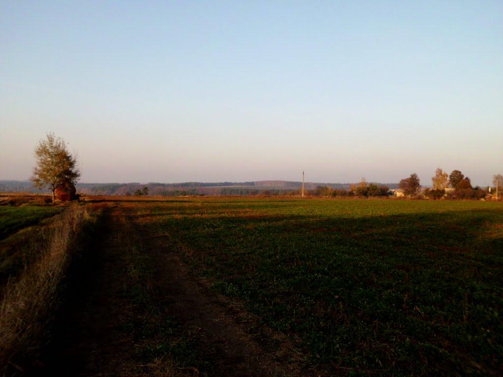 Набережне з panoramio.com - Набережне