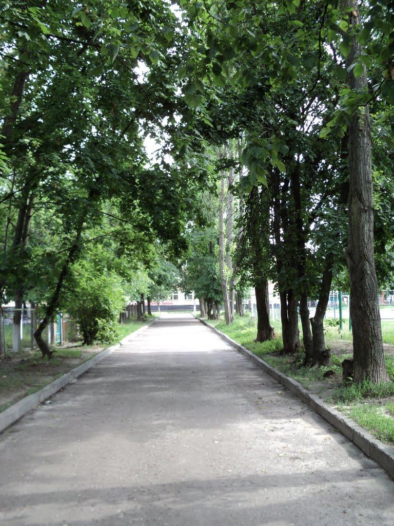 Вишневе з panoramio.com - Вишневое